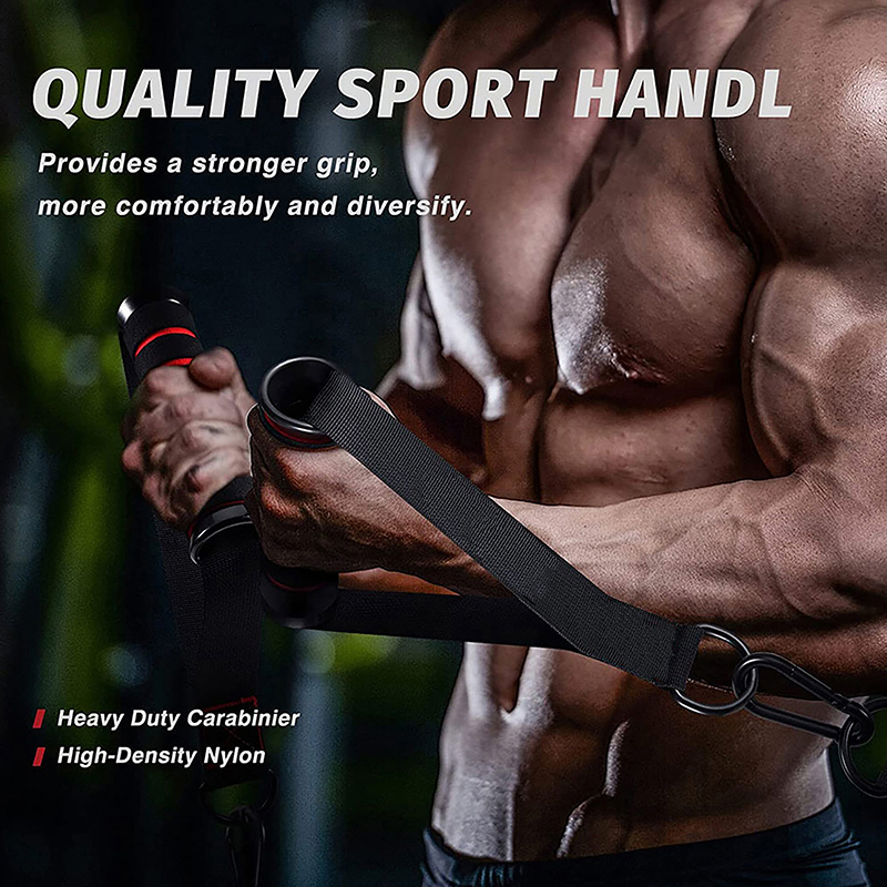1Set D-Ring Metal Gym Handles  - D Ring Strap ulasan dan harga